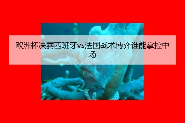 欧洲杯决赛西班牙vs法国战术博弈谁能掌控中场
